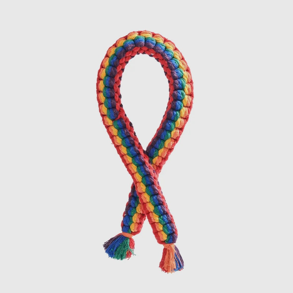 Rainbow Pride Chain Rope Toy