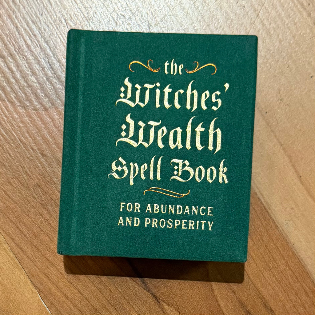 Witches Wealth Spell Book